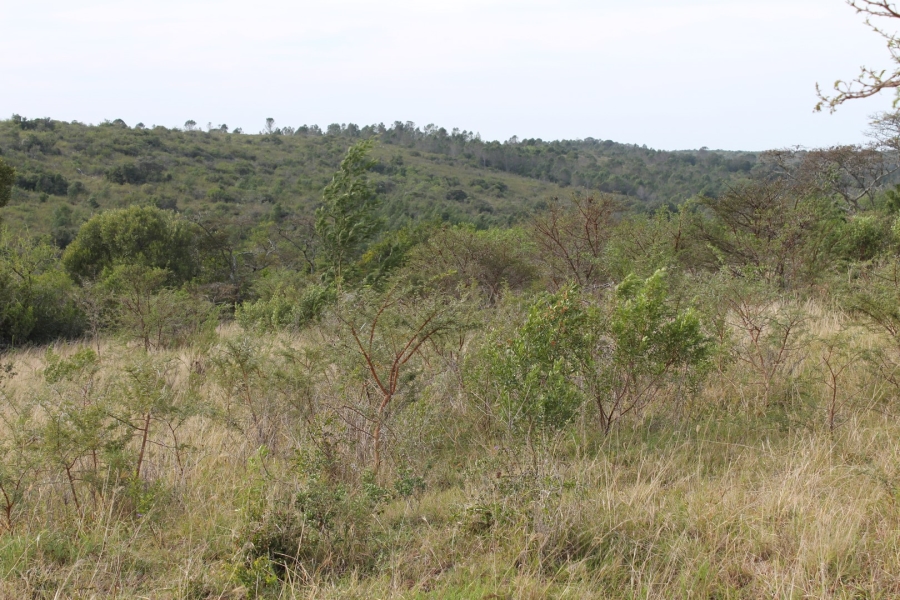 0 Bedroom Property for Sale in Bathurst Eastern Cape